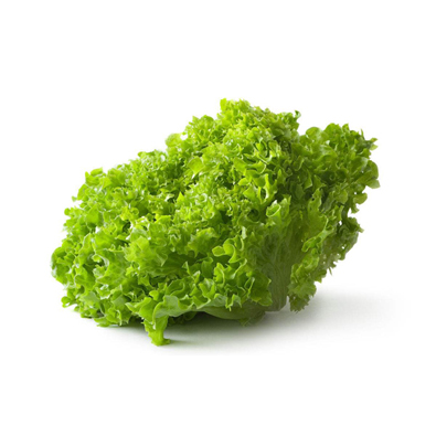 Italian Lettuce