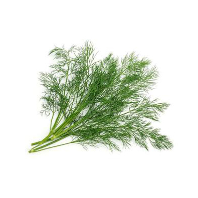 Dill